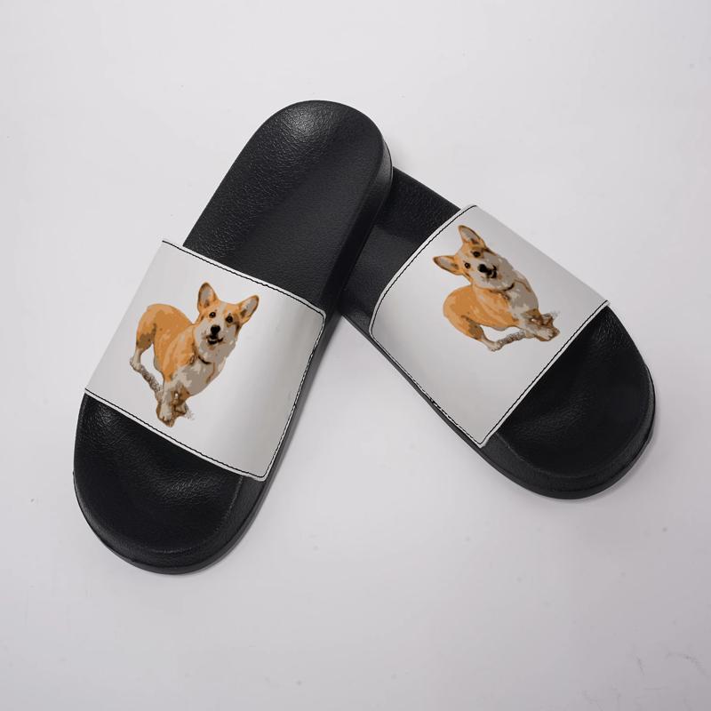 Ladies Men's home slippers，Kra - đánh giá và giá Men Shoes Illustration